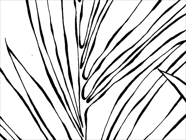 zoom01