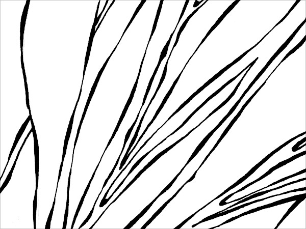 zoom03