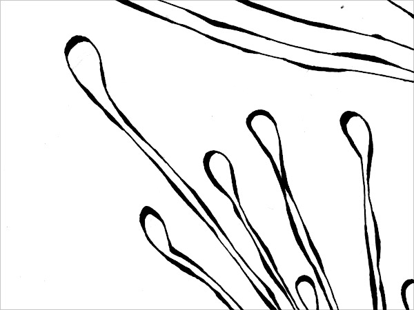 zoom04