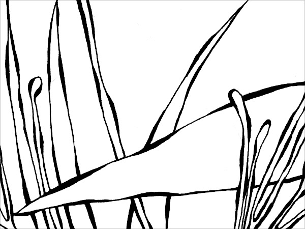 zoom05