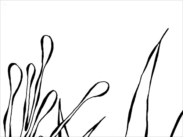 zoom06