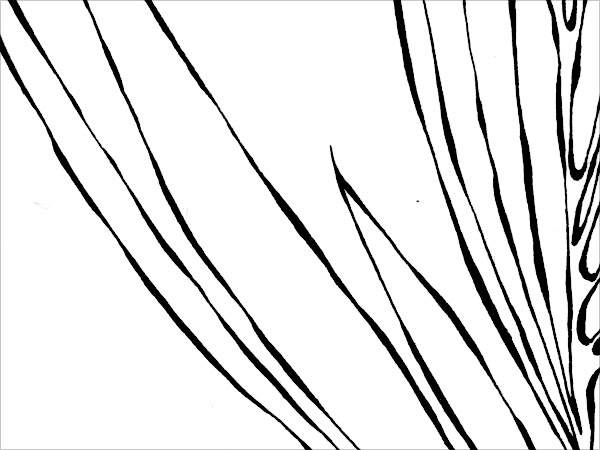 zoom07