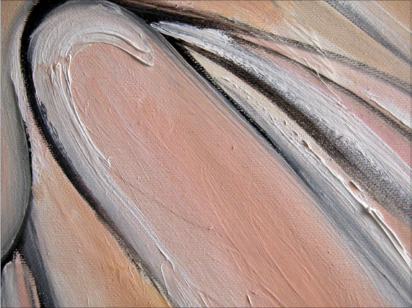 zoom02